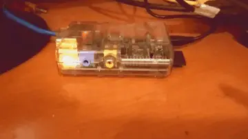 arandano pi